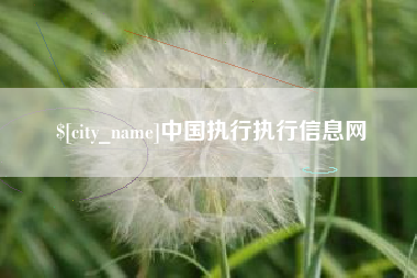 呼伦贝尔中国执行执行信息网