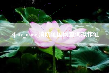 呼伦贝尔消防证国网查询操作证