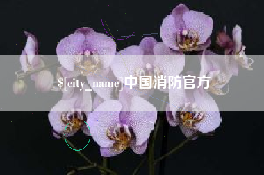 呼伦贝尔中国消防官方