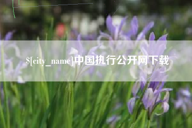 呼伦贝尔中国执行公开网下载