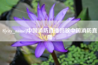呼伦贝尔中国消防直播回放中国消防直播