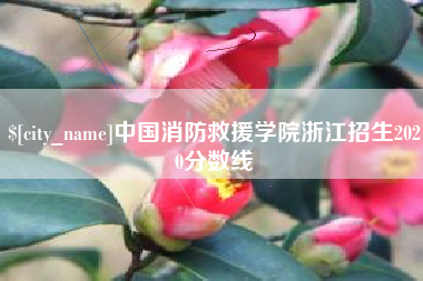 呼伦贝尔中国消防救援学院浙江招生2020分数线