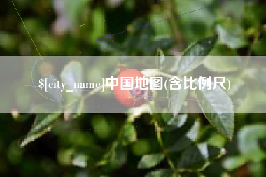 呼伦贝尔中国地图(含比例尺)