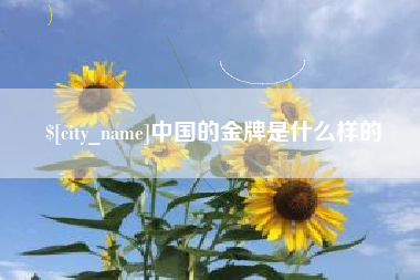 呼伦贝尔中国的金牌是什么样的
