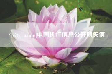 呼伦贝尔中国执行信息公开网失信