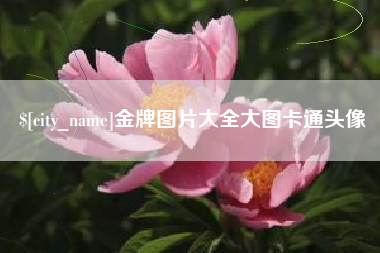 呼伦贝尔金牌图片大全大图卡通头像