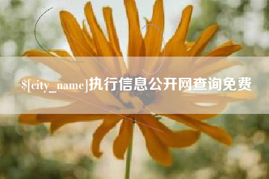 呼伦贝尔执行信息公开网查询免费