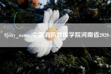 呼伦贝尔中国消防救援学院河南省2020