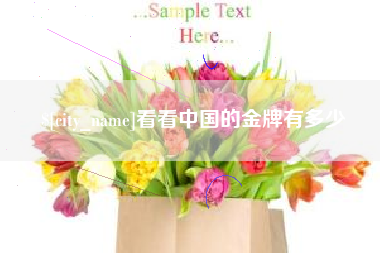 呼伦贝尔看看中国的金牌有多少